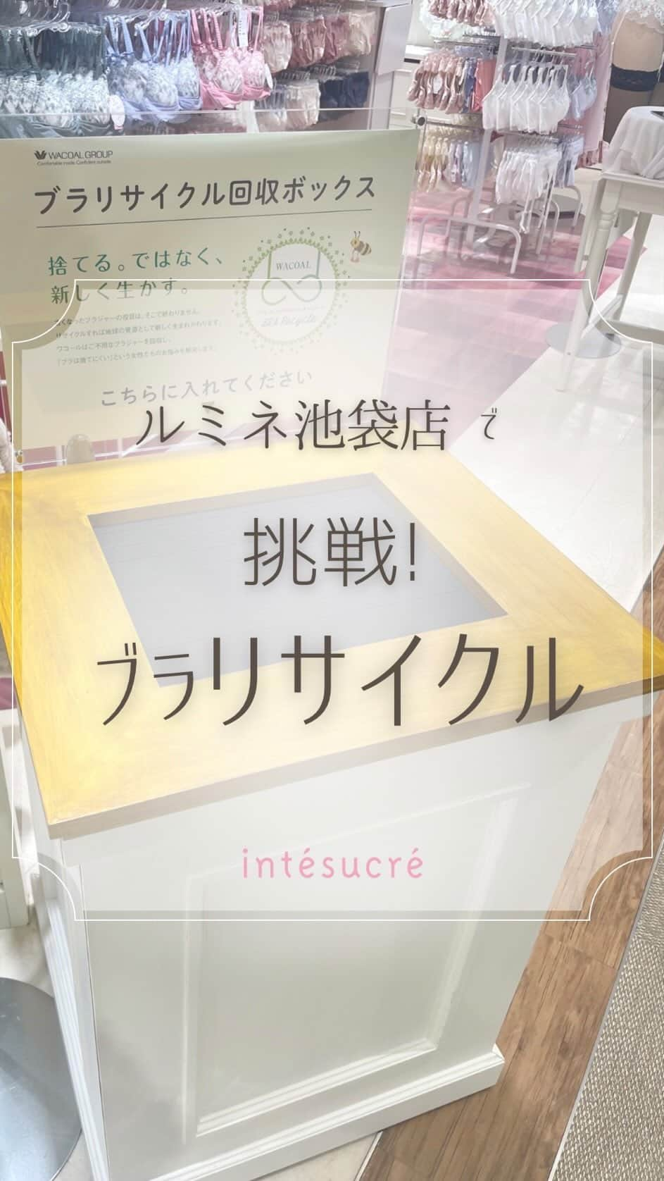 アンテシュクレのインスタグラム：「𖧷 ⁡ @intesucre_official  𖧷セレクト型下着専門店𖧷  気付けば今年も残りわずかですね❄️  年末の大掃除や断捨離で 下着を新調される方もいらっしゃるのではないでしょうか❓  アンテシュクレ ルミネ池袋店では 12/22まで店頭にブラリサイクルBOXを 設置しております♻️✨  不要になりましたブラジャーの回収に ご協力頂けますと幸いです☺️  また、回収自体はアンテシュクレ全店にて 2024/3/31まで行っておりますので この機会に是非ご利用くださいませ🌟  ｡.｡:+* ﾟ ゜ﾟ *+:｡.｡:+* ﾟ ゜ﾟ  ⁡ ⁡ ⁡ 下着にまつわるご相談はDMより承っております💗 ⁡ ▷ ▷ ▷ @intesucre_official  ⁡ ⁡ ⁡ ｡.｡:+* ﾟ ゜ﾟ *+:｡.｡:+* ﾟ ゜ﾟ  ⁡ ⁡ ⁡ お一人お一人のご要望に合わせた下着選びを ⁡ お手伝いさせていただきます♡ ⁡ お気軽にスタッフにお声がけください！ ⁡ ⁡ ご来店をお待ちしています♪ ⁡ ⁡ ⁡ 𓂃  ୨୧  𓂃 ⁡ ⁡ ⁡ #xmas #christmas #クリスマス #クリスマスランジェリー #なでしこブラ #下着通販 #下着好き #下着ブランド #ランジェリー #ランジェリーショップ  #下着専門店  #intesucre #アンテシュクレ #ルミネ池袋」