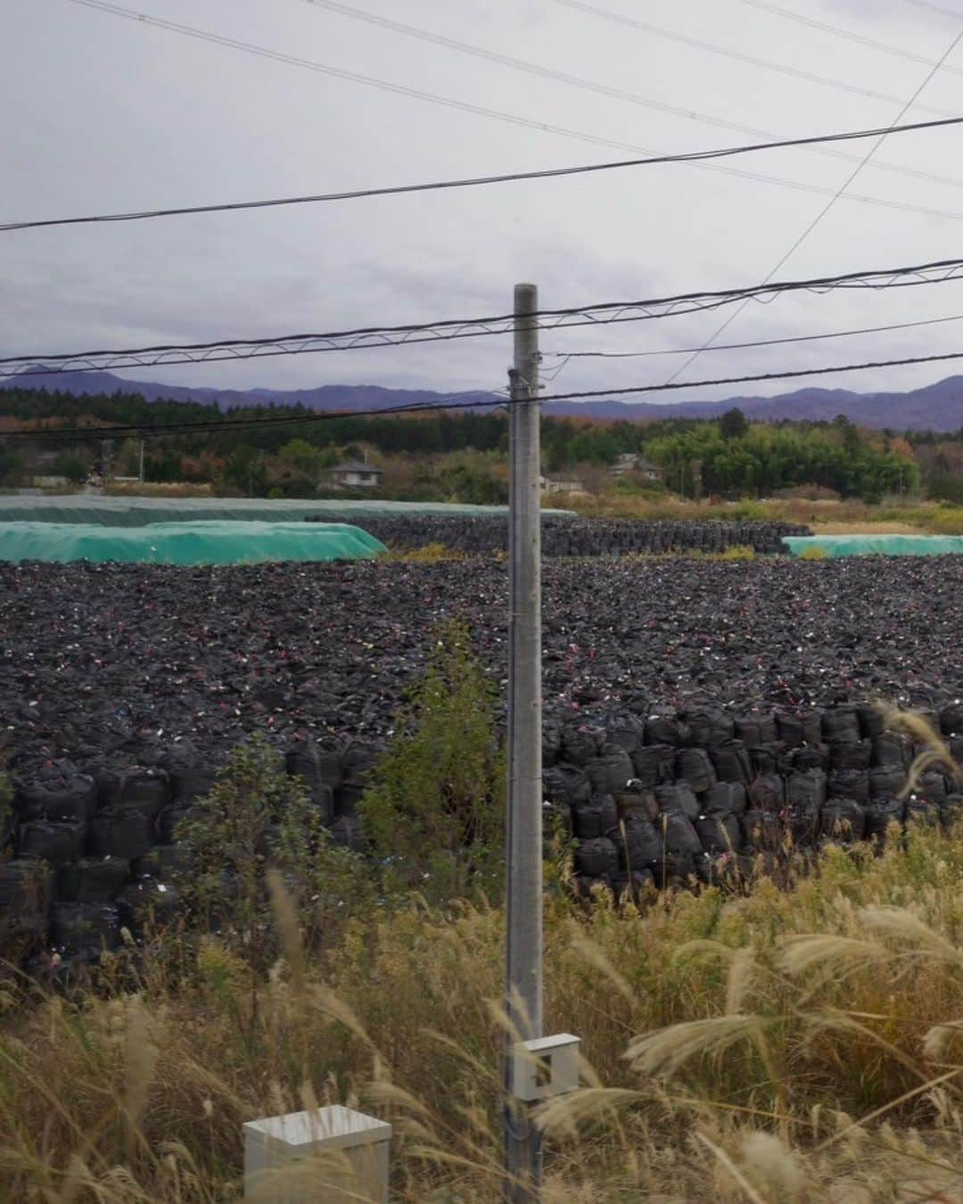 eriのインスタグラム：「#福島第一原発をみにいった   環境省の人が『チェルノブイリに比べて廃炉も除染もちゃんとやってる日本は偉い』と言ってたこと あれから何度も考えてしまう 事故後、原子力発電所の閉鎖と廃炉に踏み切ったドイツのほうが、私はよっぽど人間的だし合理性があるように思える  原爆をふたつも落とされて 福島原発事故でメルトダウンまで起こした という未曾有の大惨事を経験した 私たちはもう気づいてる 核は手に負えない、手を出しちゃいけないものだって  核兵器にも核利用にも反対していた 手塚治虫さんが著作『ガラスの地球を救え』の 情報の洪水に流されるな という章のなかで  "豊かさのキャンペーンではしゃぎすぎ いつのまにか生命をおびやかす情報への注目を おざなりにしてきてしまったのではないでしょうか" と警鐘を鳴らしている  彼が35年も前に危惧していたことは 今、さらに悪化し常態化してしまった  事故当時のそのままの姿を残した 1号機の前に立った時に オリンピック招致の際に世界に向けて 『(原発事故は)アンダーコントロールだ』と言った 安倍元首相の声が頭の中を通り過ぎた  なにも いまですらなにも コントロールされてないよ と思った」