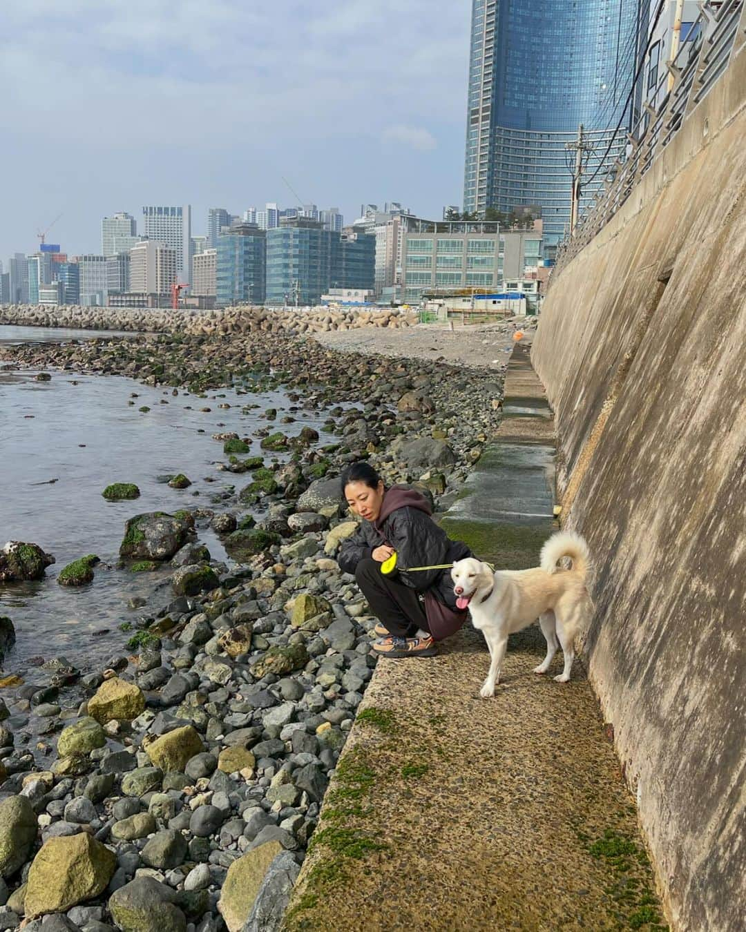 リア・キムさんのインスタグラム写真 - (リア・キムInstagram)「부산 해운대 🌊 바다보니까 좋다!!!🐶」12月10日 13時27分 - liakimhappy