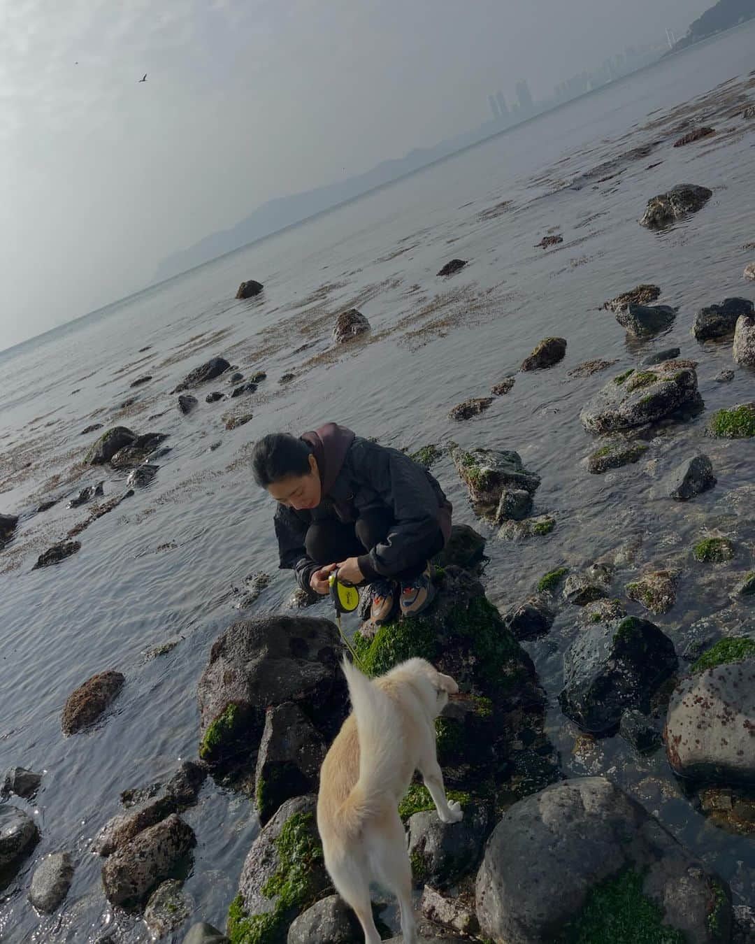 リア・キムさんのインスタグラム写真 - (リア・キムInstagram)「부산 해운대 🌊 바다보니까 좋다!!!🐶」12月10日 13時27分 - liakimhappy