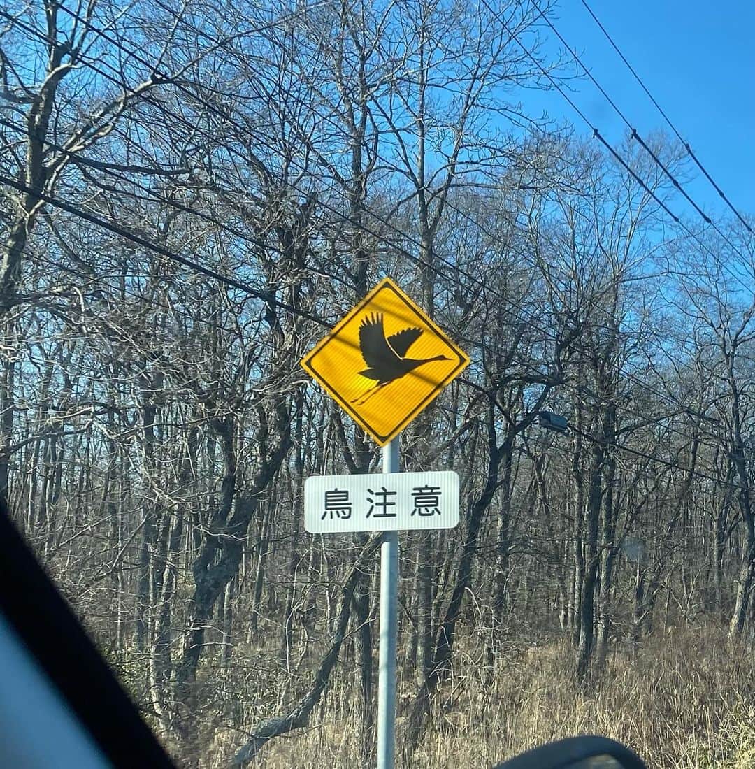 タテタカコのインスタグラム：「#動物注意看板シリーズ #どうぶつちゅういかんばん」