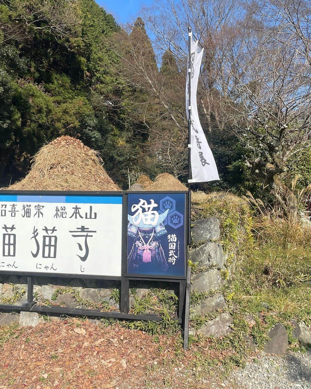 宮田麺児さんのインスタグラム写真 - (宮田麺児Instagram)「猫猫寺へ （にゃんにゃんてら）へ  猫国時代展やってます。 （にゃんごく）  #猫 #猫猫寺 #猫国時代」12月10日 15時00分 - miyatamenji