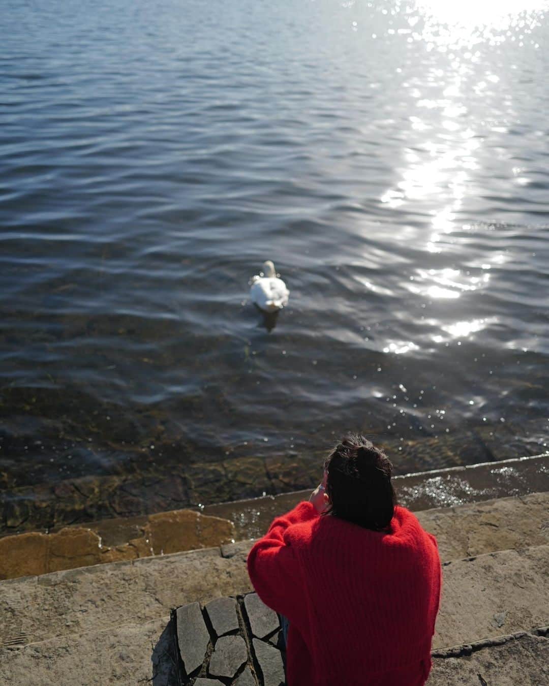 高山都さんのインスタグラム写真 - (高山都Instagram)「ポカポカ湖畔でバームクーヘン日和🌞🍩🦢」12月10日 15時11分 - miyare38
