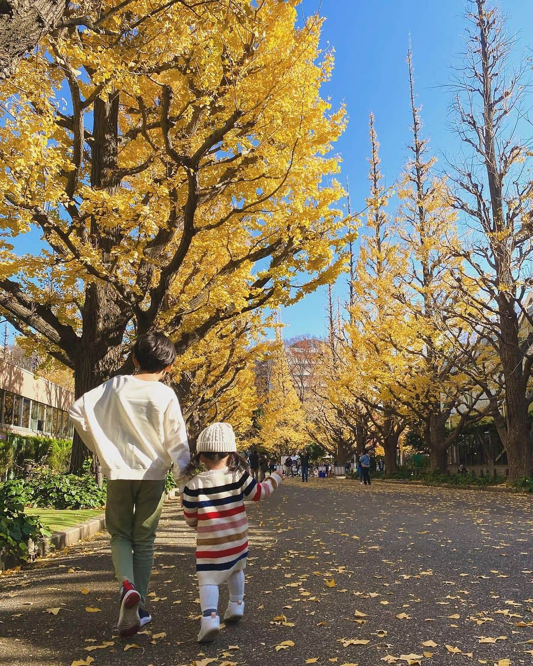 結花子のインスタグラム：「love🧡」