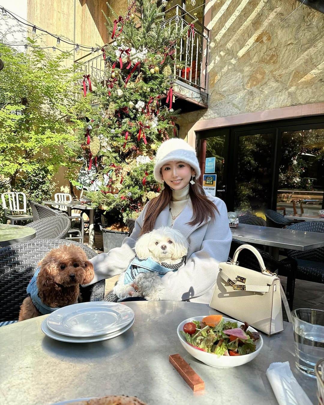 桃華絵里のインスタグラム：「🐻‍❄️🐻🎄🍽️🌹」
