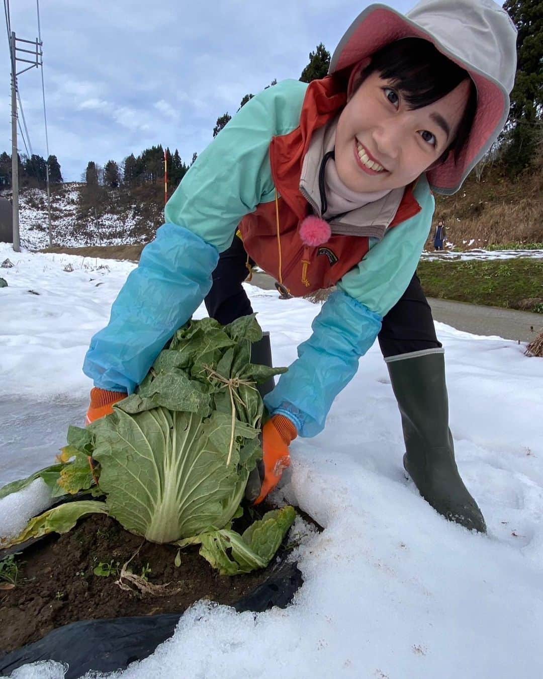 松本亜美さんのインスタグラム写真 - (松本亜美Instagram)「あすの新潟一番！ 自然派は冬への準備⛄️ 遠藤さんとともに大根の収穫をお手伝いしました！ 立派に育っていて、太くて長いものばかり！！ これは美味しそう😋 なんて考えながら収穫していると、ユニークな形の大根を発見👀 5枚目の写真です。 皆さんは面白い形の野菜に出会ったことはありますか？  収穫した大根を使って作るのは「大根のビール漬け」。 ビールを漬物に使うのは初めてなので、どんな味になるのかワクワク✨ 完成までに1週間ほどかかるということで、まだ味を確かめられていません…  味が染み込むまで、もう少し待ちます♬  #teny #テレビ新潟  #夕方ワイド新潟一番  #自然派 #冬支度 #大根 #白菜 #収穫  #ユニーク大根 #顔を描きたかった #遠藤ケイ さん #アナウンサー  #松本亜美」12月10日 19時00分 - ami_matsumoto_teny
