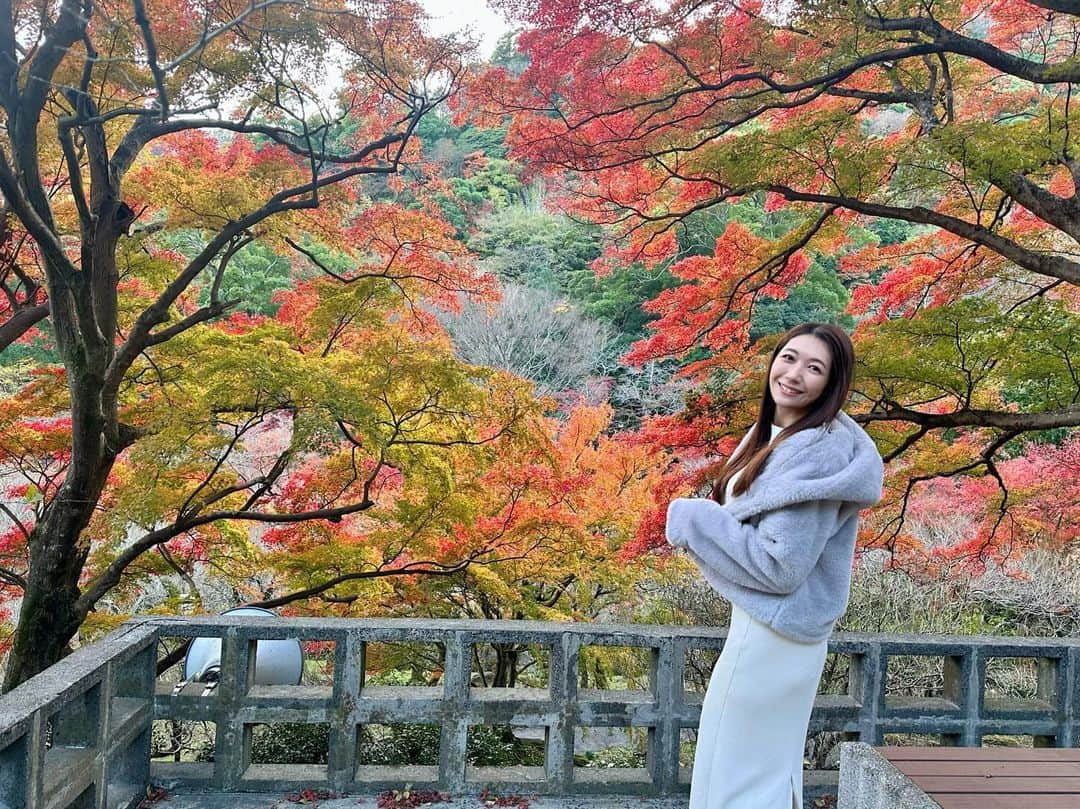 穂川果音のインスタグラム：「熱海の紅葉終わるギリギリでしたが、見に行ってきました🍁 熱海梅園は、梅だけでなく紅葉もありお散歩にオススメです✨  はぁ、紅葉のシーズン終わってしまって悲しい、、 ここからはクリスマスツリーハンターに切り替えます笑笑  #紅葉2023 #熱海観光 #熱海　#autumnleaves #japantravel #japanautumn」