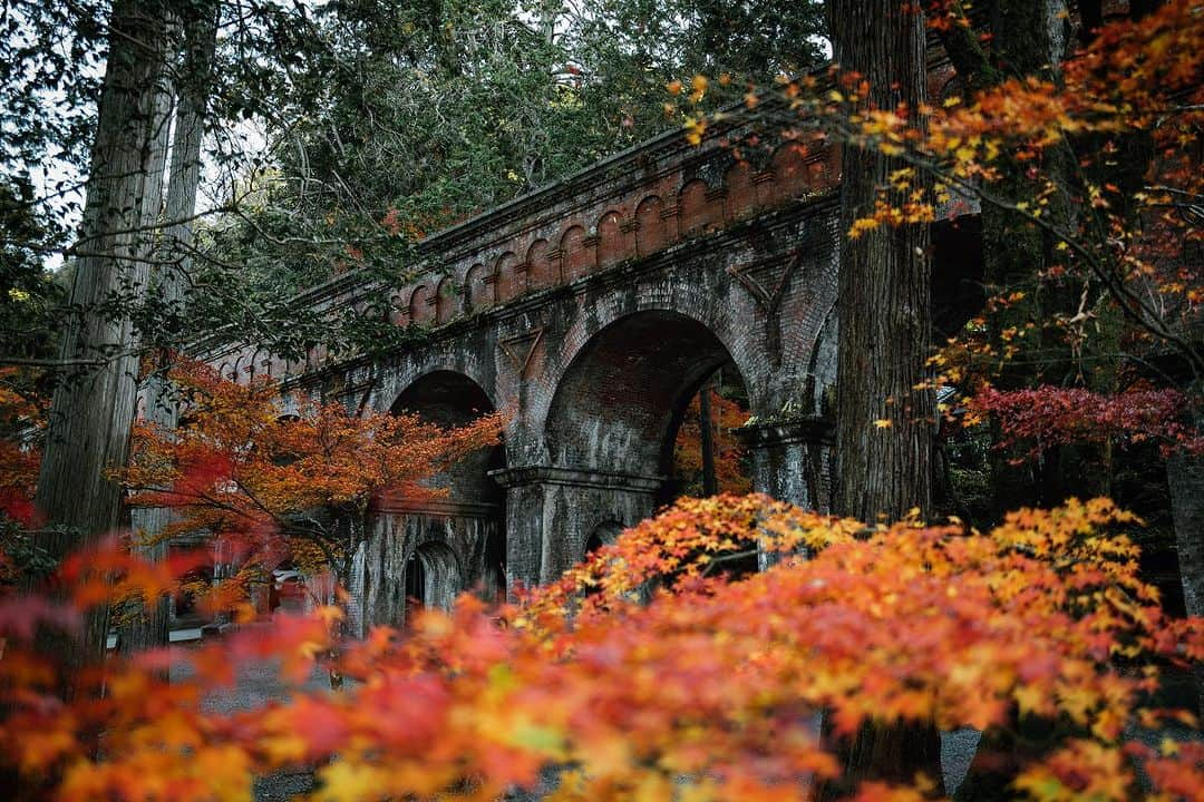 京都いいとこフォトのインスタグラム：「. 明治23年に建造された南禅寺水路閣。 令和になった現在でも、 レンガ造りのアーチ橋上を 琵琶湖疏水の水路が通過しています。 . Nanzenji Suirokaku was built in 1898. Even now that Reiwa has arrived, On the brick arch bridge The Lake Biwa Canal waterway passes through it. . Date : 2023.12.4 Location : #南禅寺 #nanzenji Photo : @kohei713 .」