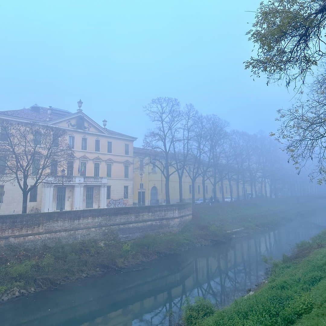 ヤマザキマリのインスタグラム：「Padova」