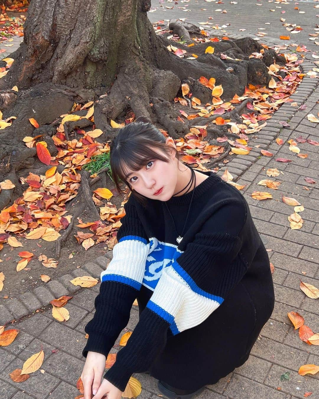 仲本愛美のインスタグラム：「銀杏見に行けてないから落ち葉で🍂🍂🍂🍂」