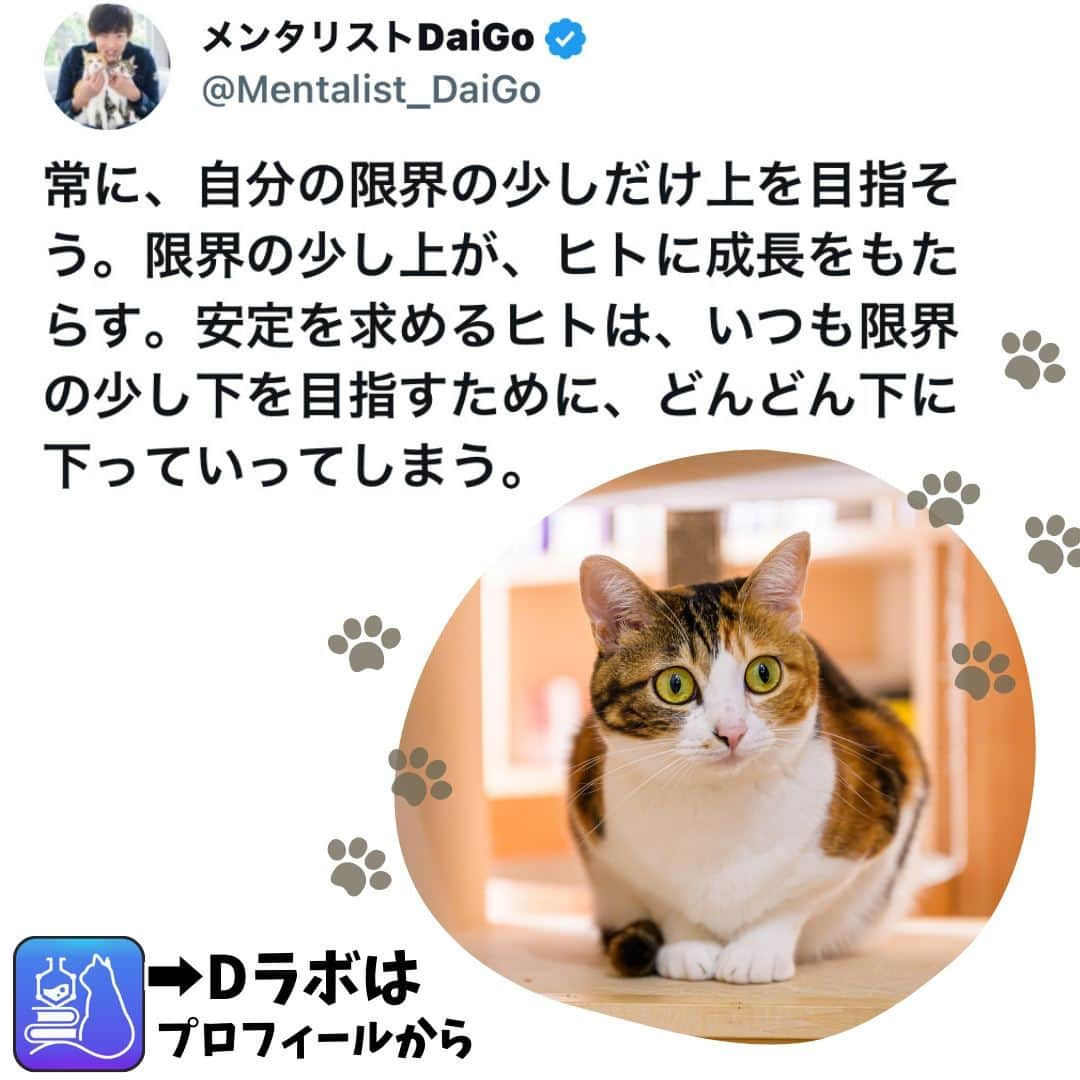 メンタリストDaiGoのインスタグラム：「🐈本日の名言📚 プロフィールからDラボもみてね  #心理学 #メンタリスト #dラボ  #dラボはプロフィールから」