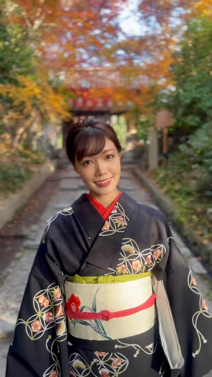 のののインスタグラム：「👘🍁KYOTO  📸iPhone13pro シネマティックモード  #京都#京都観光#京都旅行#京都紅葉#京都旅#京都散策#京都着物レンタル#着物#着物ヘア#着物女子#和服#和服ヘア#和服女子#着物モデル#和服モデル#和装#和装ヘア#紅葉#紅葉狩り#紅葉スポット#高台寺 #kyoto#kyotojapan#kyototrip#wahuku#kimono」