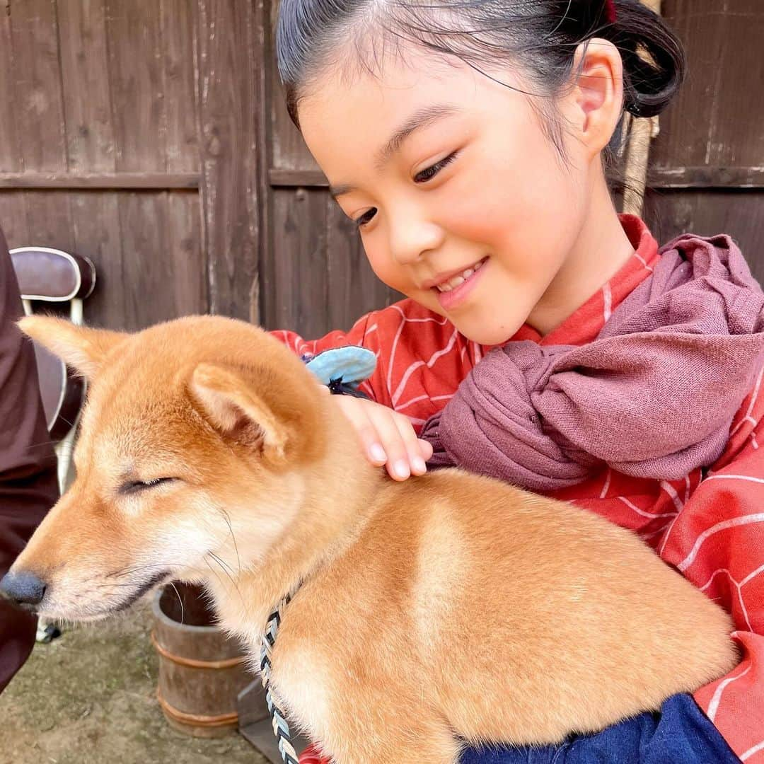 加藤柚凪のインスタグラム：「NHK  BS時代劇『あきない世傳 金と銀』のおもいでです⭐  はじめて、わんちゃんをだっこしました🐶✨ ふわふわであったかかったなぁ💕 いままでずっと「かわいいなぁ～😀」と思っていても いいこいいこするだけだったから、 だっこさせてもらえてうれしかったです‼️🥰 ありがとうございました✨  #NHK #BS時代劇 #あきない世傳 #金と銀 #さちちゃん #永瀬ゆずな @yuzuna_nagase」