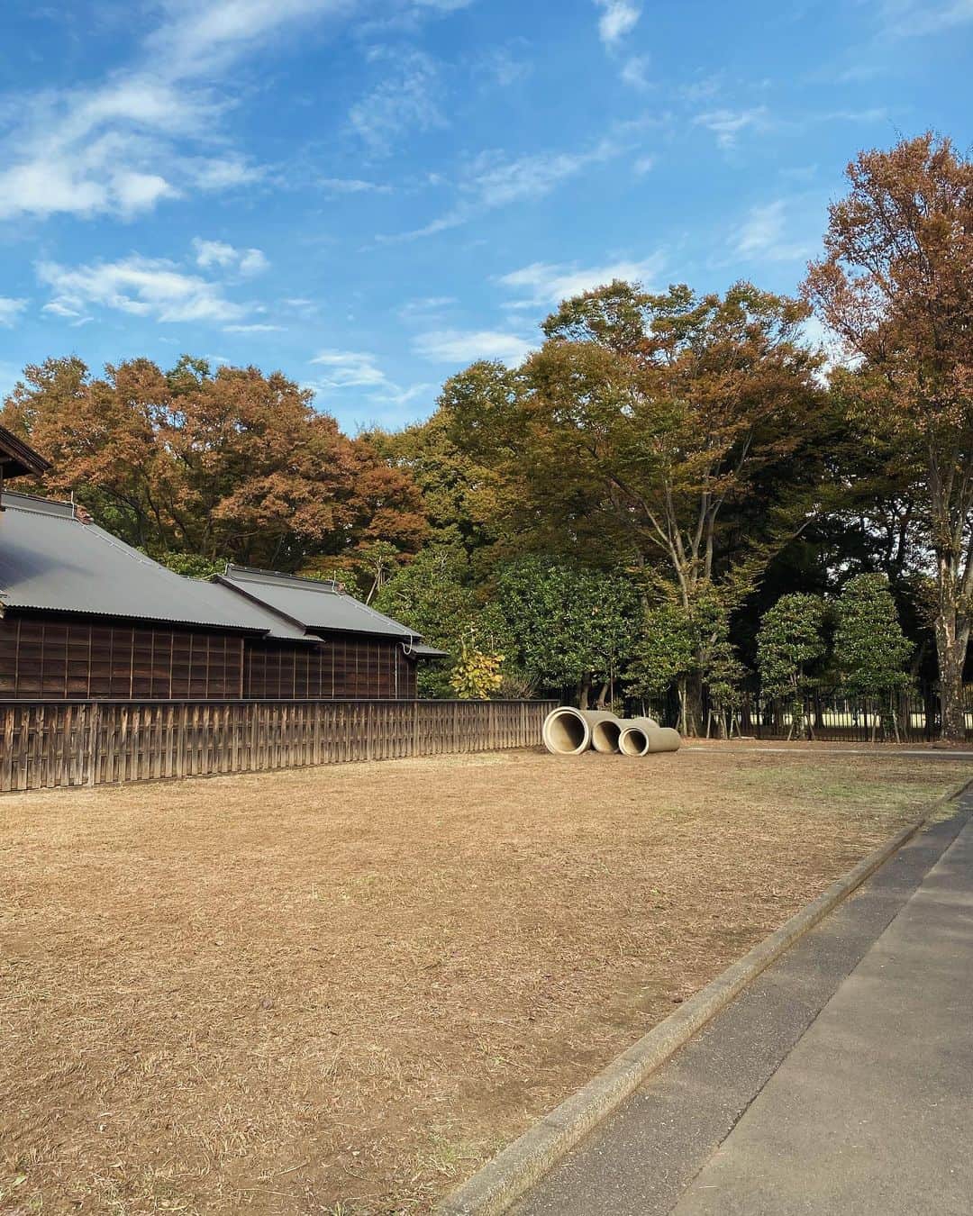 生野陽子さんのインスタグラム写真 - (生野陽子Instagram)「🚶‍♀️ 昨日は武蔵小金井をおさんぽ。 また訪れてみたい場所になりました。 だれかを案内したいなぁ。  #武蔵小金井」12月10日 18時43分 - yoko_shono