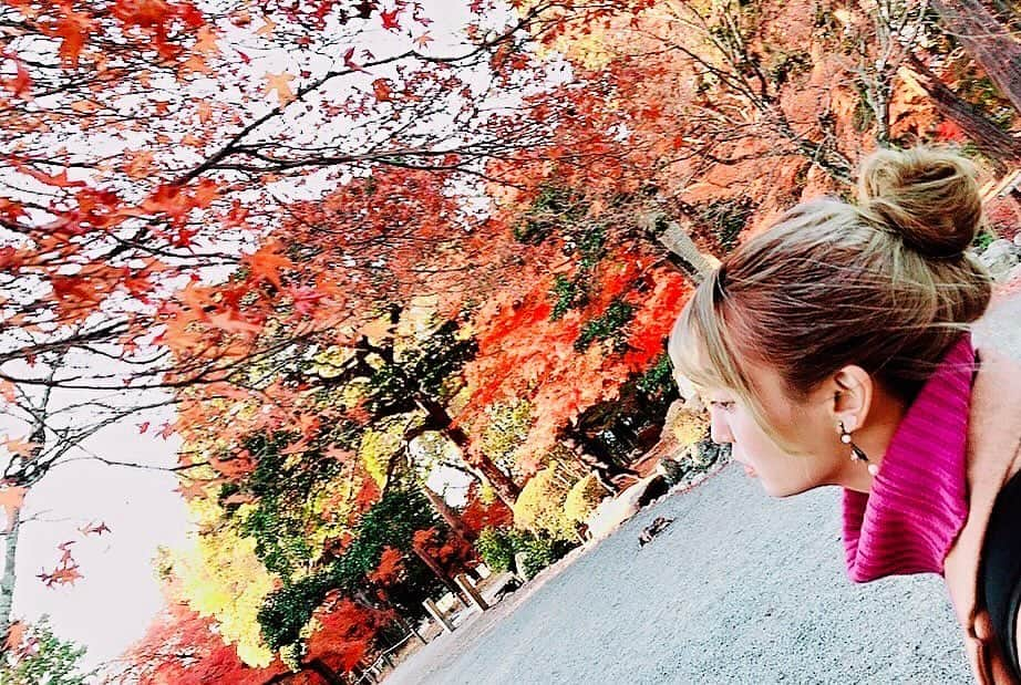 榎あづささんのインスタグラム写真 - (榎あづさInstagram)「紅葉🍁🍁🍁  『あづこのみ』 3日連続プレミアム年末スペシャル🎅🏻🎍✨  12/28(木)29(金) 各日①②枠のみ、 榎のみ指名・ゲストのみ指名が可能な 💓ソロ枠先着💓受付中✨  ⚠️⚠️本日〆切⚠️⚠️」12月10日 19時00分 - adusa_kinoko