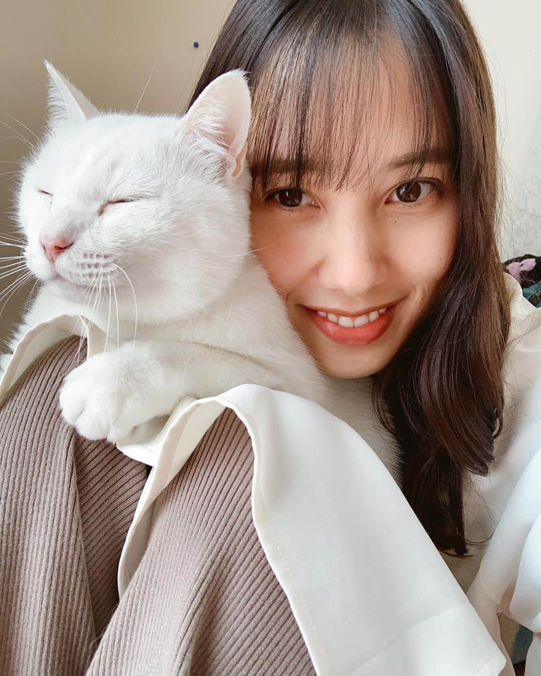 奥村真友里さんのインスタグラム写真 - (奥村真友里Instagram)「ベルが虹の橋を渡りました🌈  9月末に早くて余命1ヶ月と言われて 一時は「あと1年くらい行けるかも！」 って言われるほど持ち直したんだけどね  それでも1ヶ月と言われてから 2ヶ月以上も頑張りました！ すごいねベルさん🤍  優しいベルさん たくさんの幸せをありがとう。  ずっとずっとだいすきだよ！！！」12月10日 19時04分 - mayuri_okumura