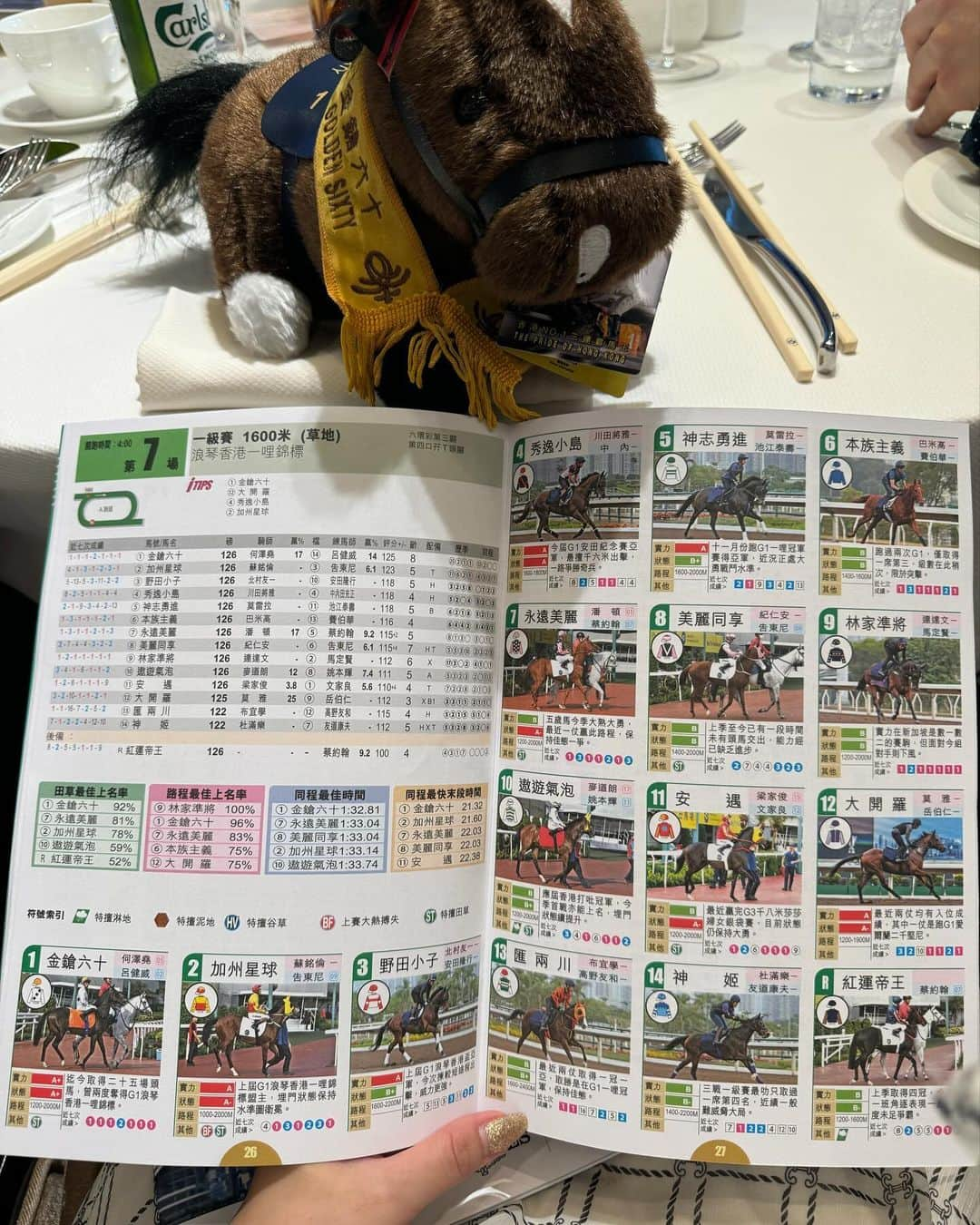 erinaさんのインスタグラム写真 - (erinaInstagram)「. . . 初めてのシャティン競馬場🏇 シャフリヤールの応援のつもりで飛行機取ったのに まさかの出走取り消し😭 . でもたくさん日本馬出てたのでとっても楽しめた💖 現地の熱狂っぷりもたくさん感じれました！ . 阪神JFは久しぶりに予想が当たって嬉しかった🎯 皆さんはどうでしたか？ . . . #香港 #hongkong #シャティン競馬場 #沙田競馬場 #shatinracecourse」12月10日 19時13分 - erina_umajo