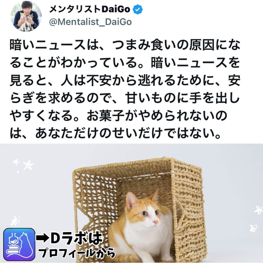 メンタリストDaiGoさんのインスタグラム写真 - (メンタリストDaiGoInstagram)「🐈本日の名言📚 プロフィールからDラボもみてね  #心理学 #メンタリスト #dラボ  #dラボはプロフィールから」12月10日 22時00分 - mentalistdaigo