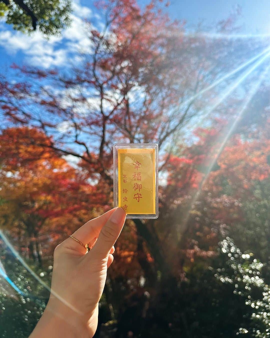 小川陽香さんのインスタグラム写真 - (小川陽香Instagram)「京都の紅葉満喫 .ᐟ.ᐟ 🍁🍂 丁度見頃だったみたいで綺麗だった🧡 ㅤ ㅤ ㅤㅤㅤ ㅤ #京都紅葉 #紅葉スポット #紅葉狩り #鈴虫寺 #常寂光寺 #嵐山ランチ #京都嵐山 #京都旅 #紅葉🍁 #私服 #私服コーデ #イエベ春 #骨格ウェーブ #155cm #155cmコーデ」12月10日 22時09分 - _haruka824