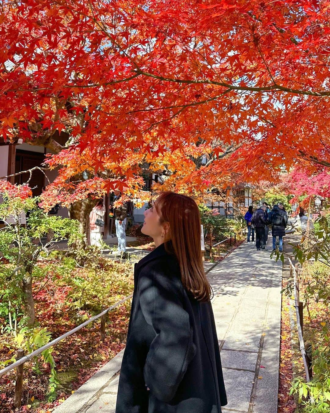 小川陽香さんのインスタグラム写真 - (小川陽香Instagram)「京都の紅葉満喫 .ᐟ.ᐟ 🍁🍂 丁度見頃だったみたいで綺麗だった🧡 ㅤ ㅤ ㅤㅤㅤ ㅤ #京都紅葉 #紅葉スポット #紅葉狩り #鈴虫寺 #常寂光寺 #嵐山ランチ #京都嵐山 #京都旅 #紅葉🍁 #私服 #私服コーデ #イエベ春 #骨格ウェーブ #155cm #155cmコーデ」12月10日 22時09分 - _haruka824