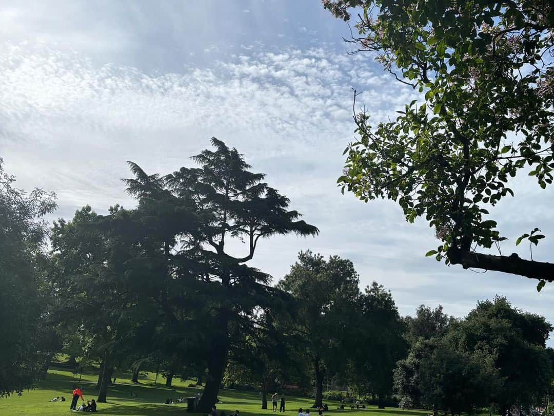 根本美緒さんのインスタグラム写真 - (根本美緒Instagram)「メルボルン中心地スケッチ✨公園⛲️の様子🌳 市街地を走る100%電気で走るバス🚌や背の高い街路樹。歩道は東京と同じくらい狭かったけどしっかり植ってました。カエデが主流🌳 #大学院生 #国際学会 #メルボルン #オーストラリア #街路樹研究」12月10日 22時55分 - nemotomio.official