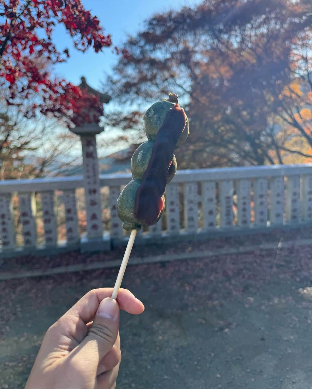 田中毅さんのインスタグラム写真 - (田中毅Instagram)「. 紅葉を楽しんだり、 甘いものを食べたり、 甘いものを食べたり、、  #🍁  #大山  #ティラミス  #だんご  #あっという間に体重戻った」12月10日 23時06分 - tanaka_ta_ke_shi