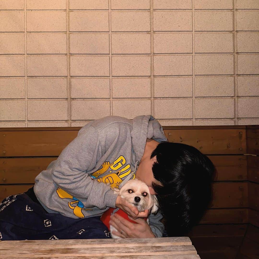 武内駿輔のインスタグラム：「🐶🐶🐶」