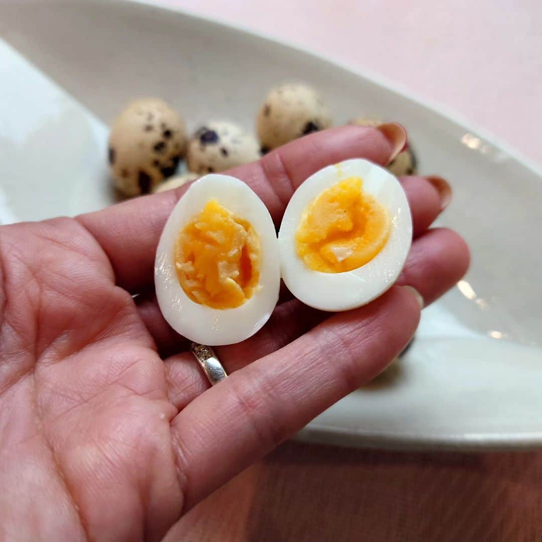 佐藤実絵子さんのインスタグラム写真 - (佐藤実絵子Instagram)「アンバサダーをしている#オレンジページcooking 冬号より、今井亮さんの、うずら卵の無限つまみという特集！  正直うずら卵ってむしろあんまり…だったのですが、自分で茹でると美味しい！という記事に騙されたと思って茹でてみたら、ハマってしまいすでに2パック食べてしまった！  しかも、漬けたりしたいのに、ただお塩で食べるのだけが美味しすぎて無くなってしまう(笑)ということで冷蔵庫に3パック目(マジです)  思い立ったら2分半で出来てしまうのも最高〜 皆さんもハマってしまうと思うよ😁  ちなみにこの日のメインは畑の里芋で名古屋のどて煮！  そして副菜は前の号のオレペに載っていた、いんげんのクタクタ煮。このいんげんは大大大ヒットで作るのもう3回目かなー。 娘が大好きで、このレシピでいんげん好きになっちゃったほど。  手間のかかる料理からすぐにできる料理まで、たくさん載ってます、オレンジページcookingは書店でどうぞ！！  #cookingアンバサダー #アンバサダー #オレンジページ  #みえこごはん #ふたりごはん #おうちごはん #おうちごはんlover #しあわせごはん #家庭料理 #献立 #デリスタグラム #デリスタグラマー #てづくりごはん365 #フーディーテーブル #うつわ好き #lovefood #foodstagram #japanesefoods」12月10日 23時24分 - mieppp624