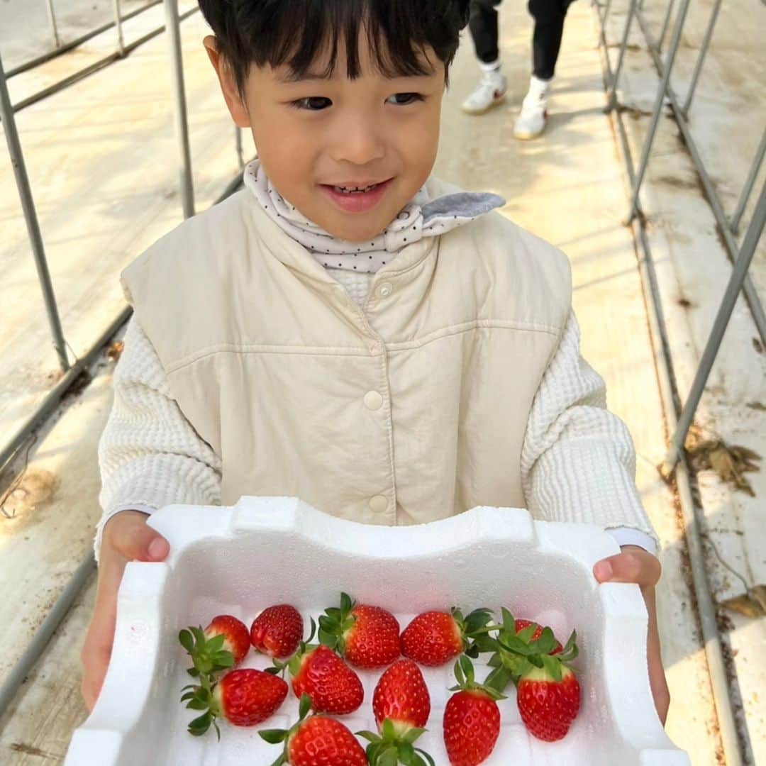カン・ギョンジュンさんのインスタグラム写真 - (カン・ギョンジュンInstagram)「#딸기체험 #행주산성 #아이맛이야장작철판구이  #끝.....#육아코스」12月10日 23時56分 - kangkyungjun1983