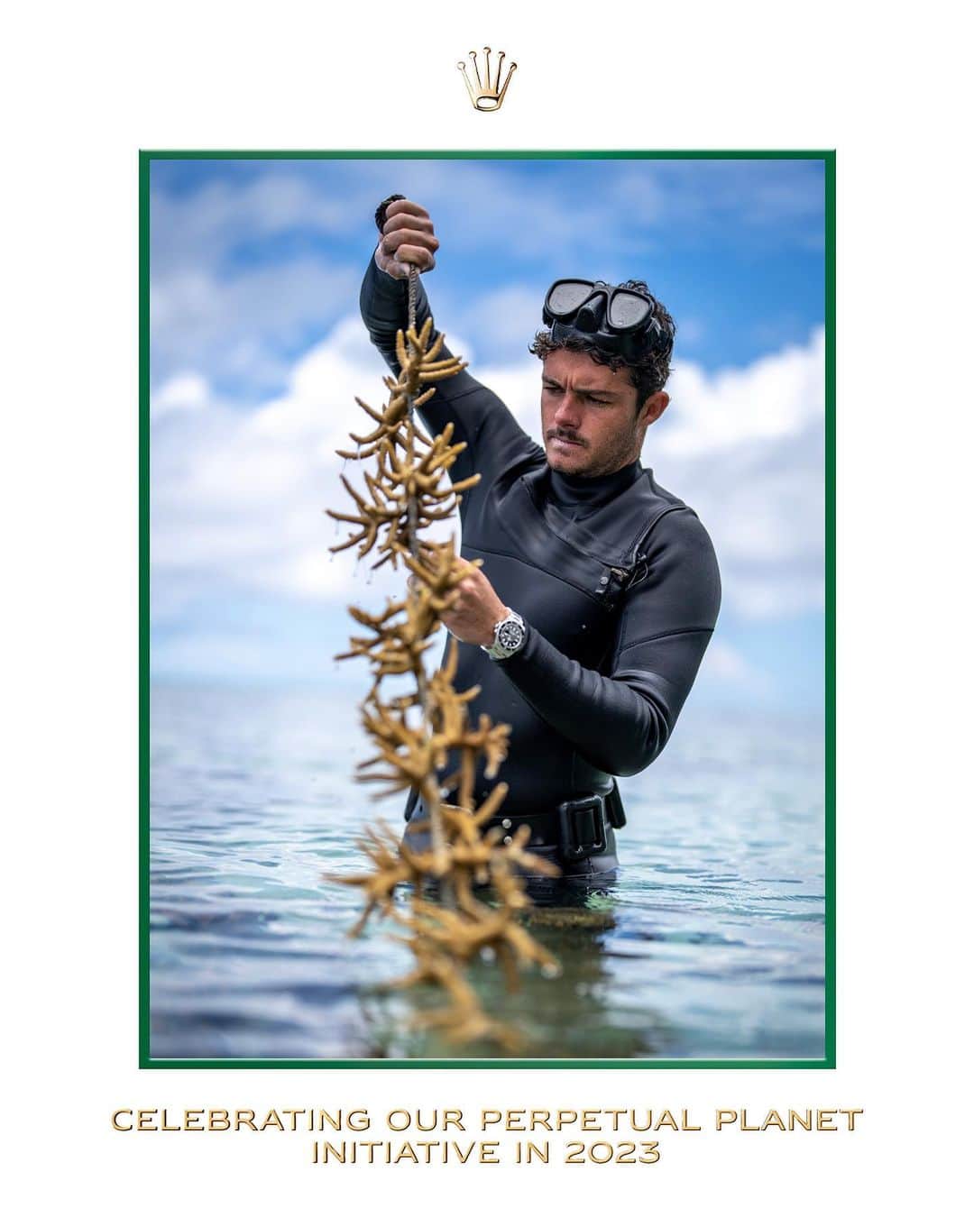 rolexのインスタグラム：「A time to celebrate. Because the Rolex Perpetual Planet Initiative gives hope for the future. This year, all over the world, its partners researched ecosystems under threat, including ocean conservation organization Coral Gardeners; conservation photographers Paul Nicklen and Cristina Mittermeier; explorer Steve Boyes; fisheries ecologist João Campos-Silva; ice core scientist Alison Criscitiello; and international mountain guide Dawa Yangzum Sherpa. #Rolex #PerpetualPlanet For more details about this see the link in the profile.」