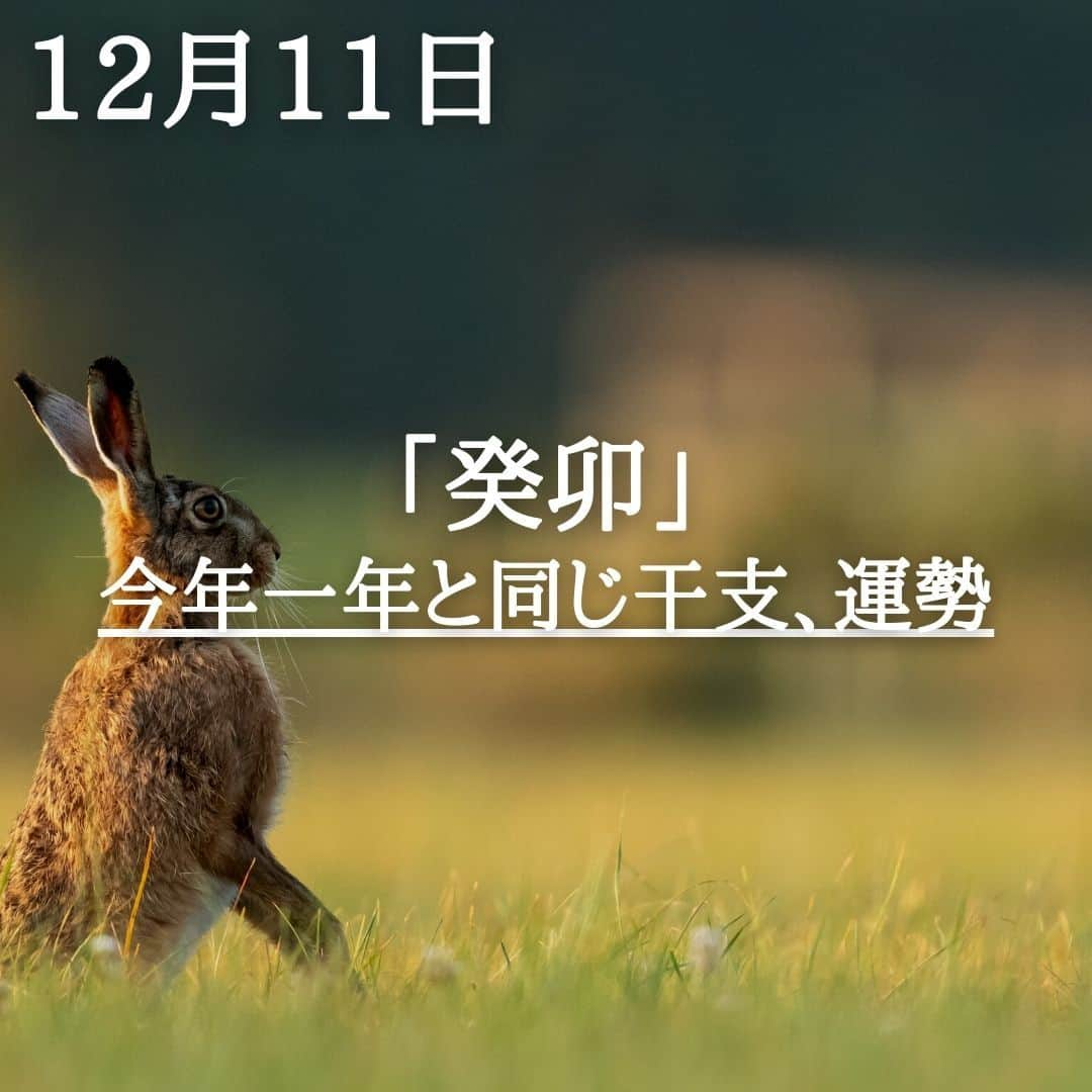 SOLARITAのインスタグラム：「【12月11日の運勢】 本日の干支は「癸卯」 今年一年と同じ干支 つまり、今日1日の運勢は 今年一年の運勢と同じ！？ . . 本日の干支は「癸卯」です。そして実は、この干支は今年一年の干支と同じです。つまり四柱推命的に言うと、本日一日の運勢と今年一年の運勢は同じ流れを持つと言うこと。卯年は来年2月の立春で終わりですが、今日を晴れやかに過ごせれば、今年一年の充実したフィナーレが訪れるはず！ . 四柱推命はあなたの生まれ日から算出する干支により、さまざまな運勢の吉凶を判断します。SOLARITAに登録するとあなたの四柱推命タイプを割り出し、あなたの「癸卯」の運勢を120段階のランキングでお伝えします！ . . #星占い　＃占星術　＃四柱推命」