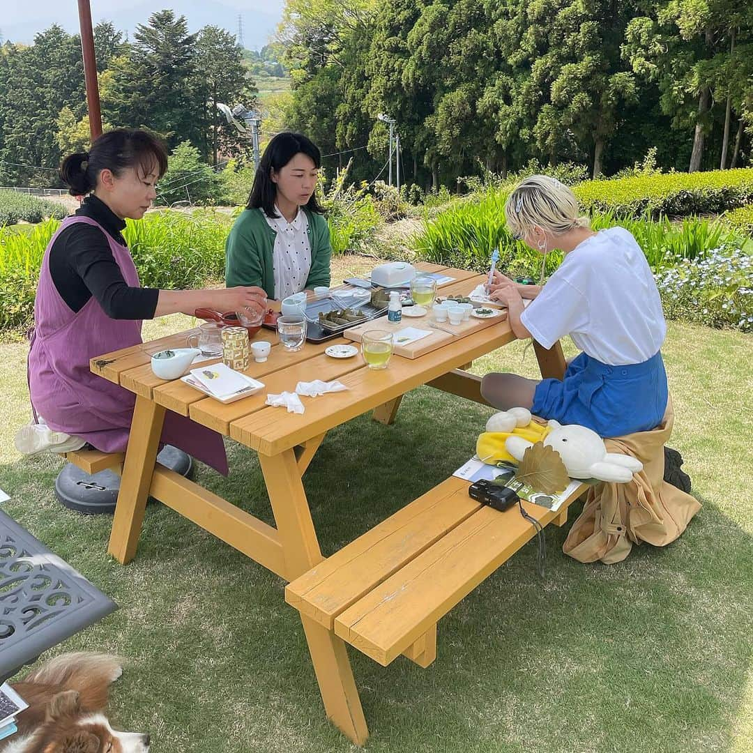 アイリス・ロウのインスタグラム：「Tea harvest in April ⛰️💭  I learnt so much from each farm ~* thank you」