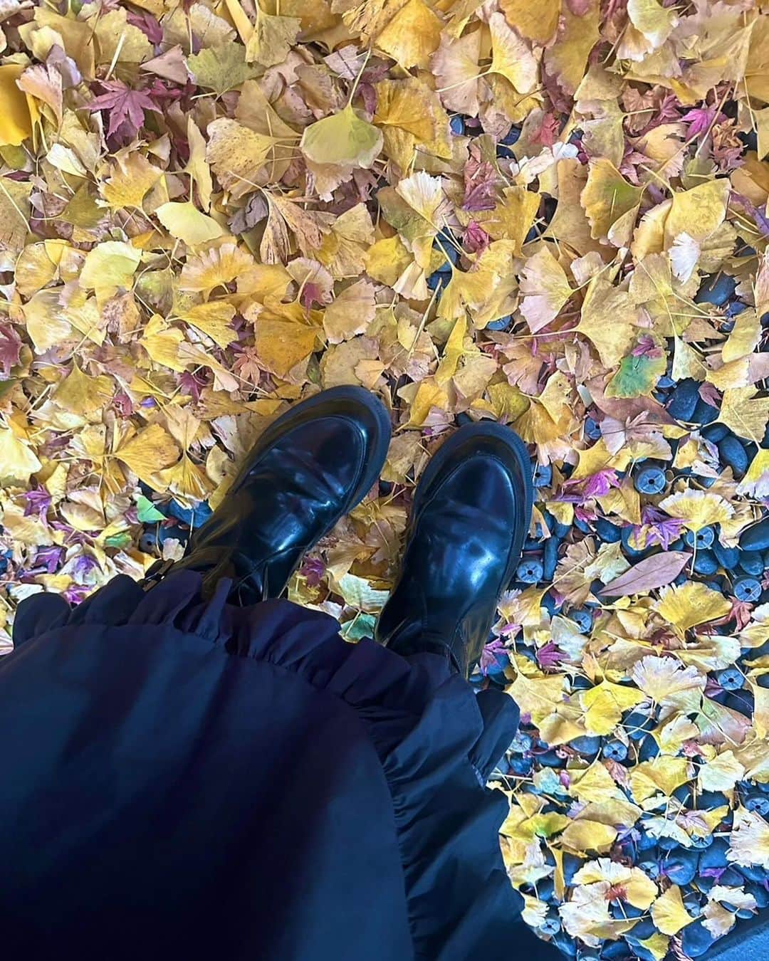 清水楓さんのインスタグラム写真 - (清水楓Instagram)「🍁と🍁  #紅葉」12月11日 4時39分 - kaede_shimizu