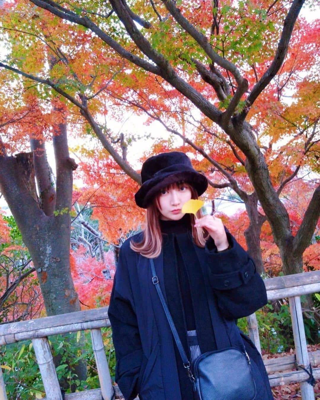 清水楓のインスタグラム：「🍁と🍁  #紅葉」