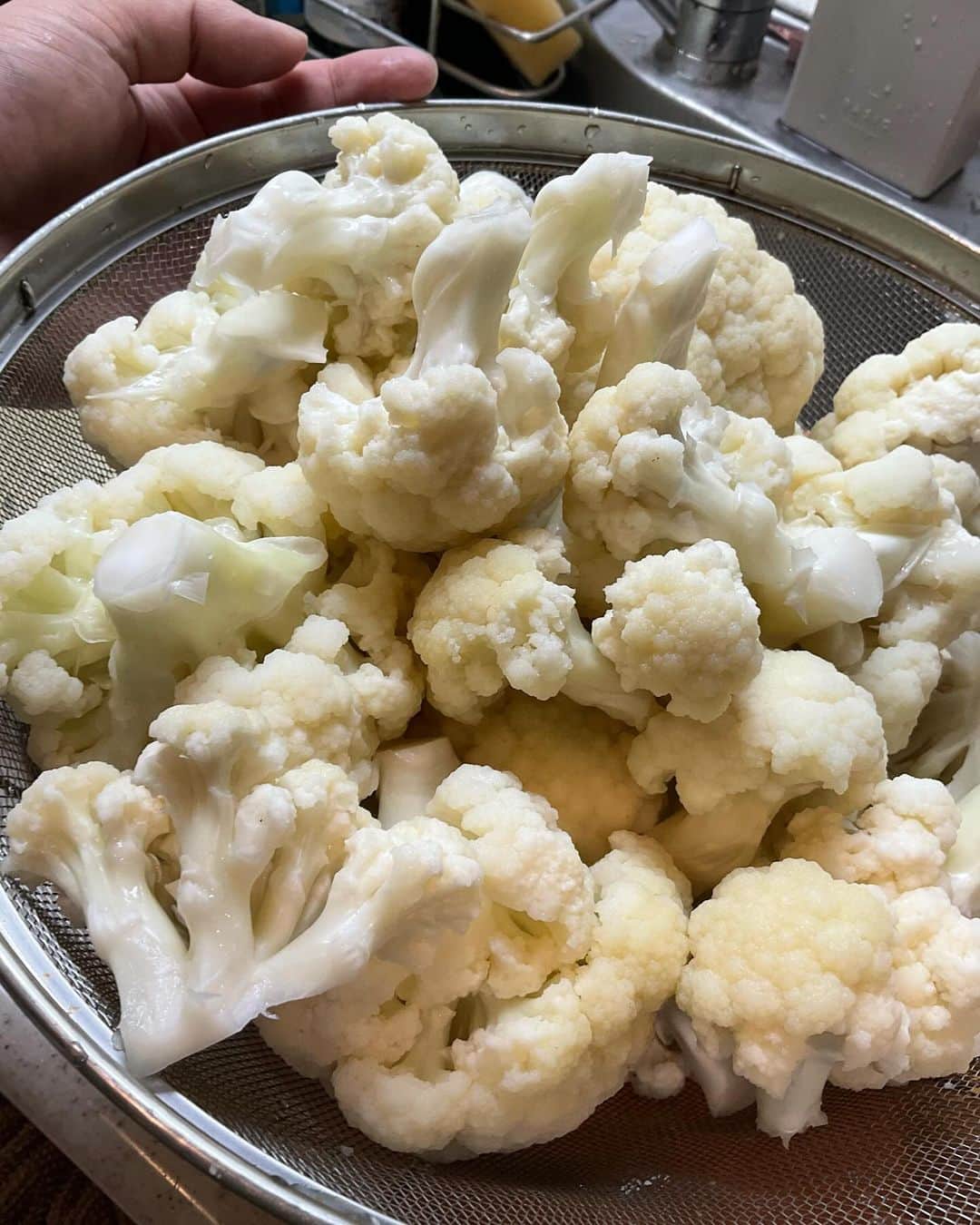 野島健児のインスタグラム：「大量のカリフラワー どないしたらええねん  これでもごく一部です」