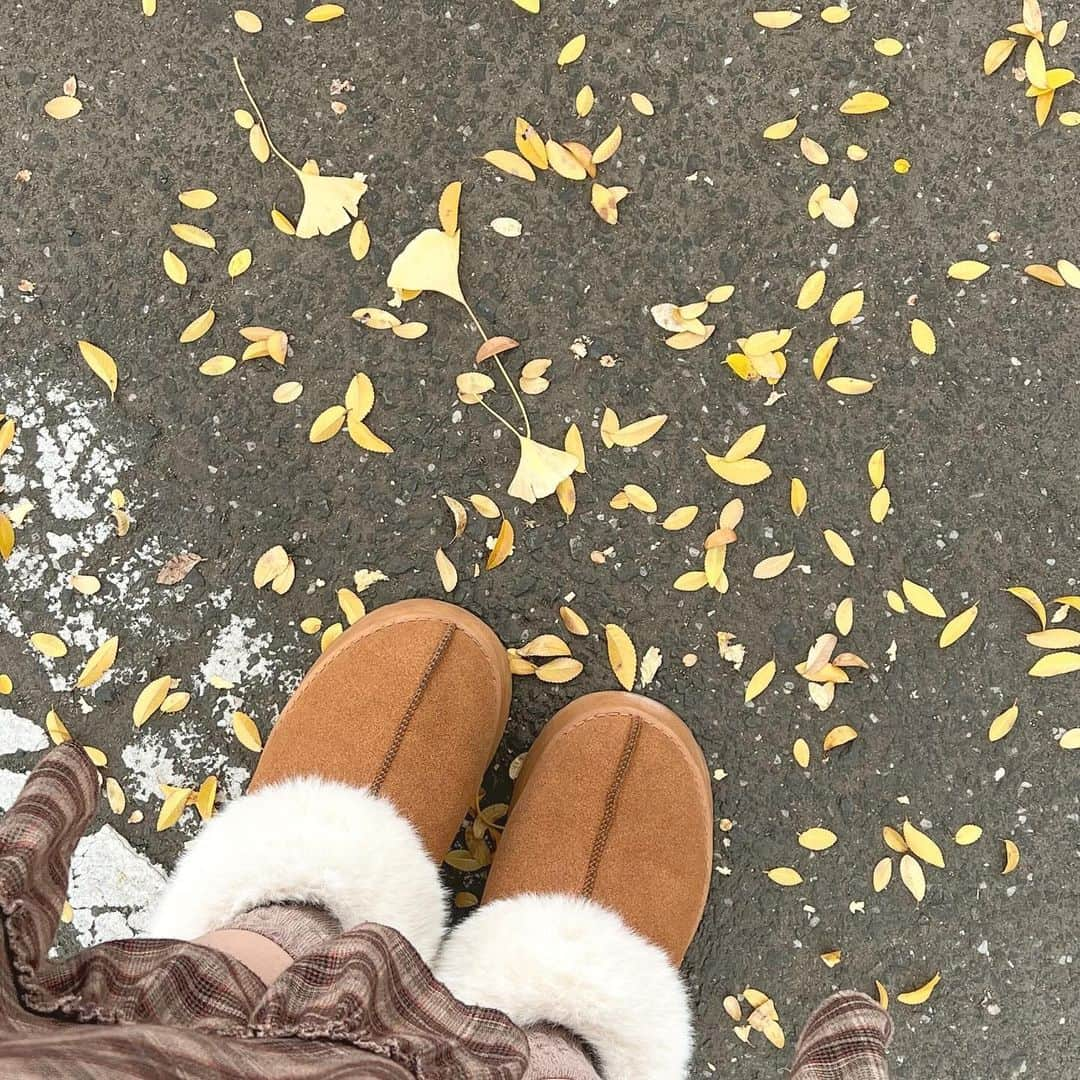 倉河奈央のインスタグラム：「▫️🍂」