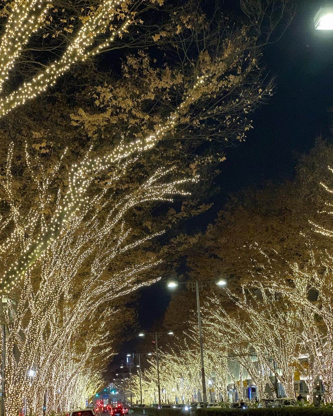 橋本志穂のインスタグラム：「昨夜、友人との会食のあと、 お家まで送って行ったので都心を通過したの。 表参道のイルミネーションがとても綺麗で、、、 一往復しようとしたら、Uターンできずに骨董通りまで回ってしまった😅 だけど、マックスマーラーの向かい側に、博多駅にあったような🎄が‼️ だーれも見てないの。 こんな綺麗なのに❓　と自撮りしてたら 若い女の子がやってきて、、 そのあと男の子もやってきて、、 老若男女問わず、みんな綺麗なものは好きよねー❤️と嬉しくなった。  そして、表参道に戻って撮影してたら、半分行ったところで突如暗くなった。。。 22時きっかりに消えたの‼️ 消える瞬間は信号待ちしてたので、ビデオ止めてて〜💦💦 せめて消える瞬間を撮りたかったなーー  #クリスマス #イルミネーション #表参道 #青山」