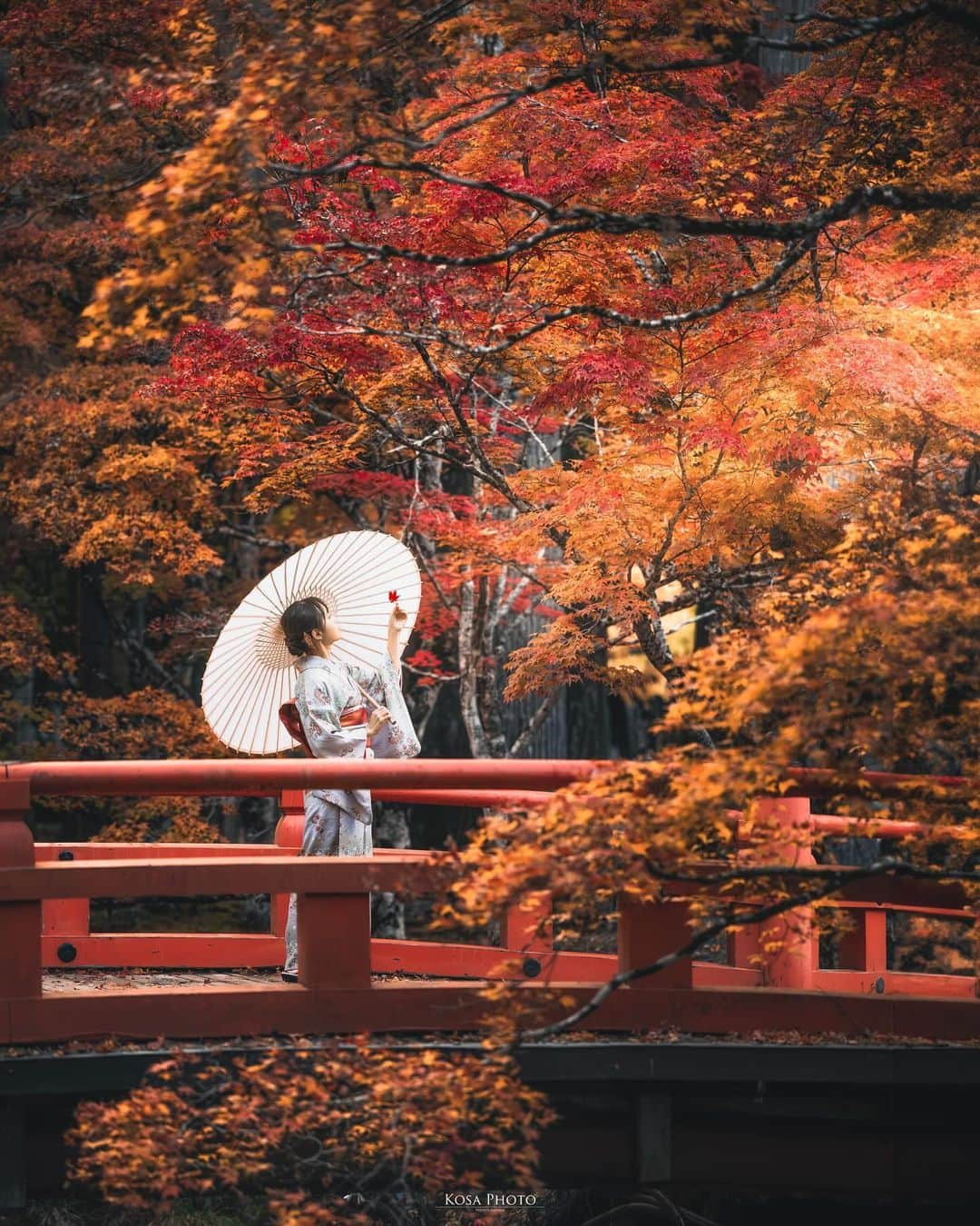 コサのインスタグラム：「高野山の紅葉からスタートした耐久レース  怒涛の紅葉シーズンをなんとか乗り切った もうヘロヘロです😅 後は忘年会で楽しみたい😊 . Location:和歌山 Wakayama /Japan🇯🇵 Date:2023年11月 in frame: @chami_2nd Camera:Z9 Z 70-200 f2.8 . #高野山 #奥の院 #みんすと紅葉祭 #nikoncreators #nikoncreators_2023moment #japancityblues #jp_portrait_collection #ポトレファン倶楽部 #ポトレ撮影隊 #jp_mood #jp_portrait部 #visitwakayama #m_v_shotz #deaf_b_j_ #japan_best_pic #invisible_cool_part #じゃびふる #raw_japan #japan_waphoto #nipponpic_member #tokyocameraclub #art_of_japan_ #jgrv_member #team_jp_ #photo_jpn #sorakataphoto #LBJ_KING #mst_vip #広がり同盟メンバー #special_spot_legend」