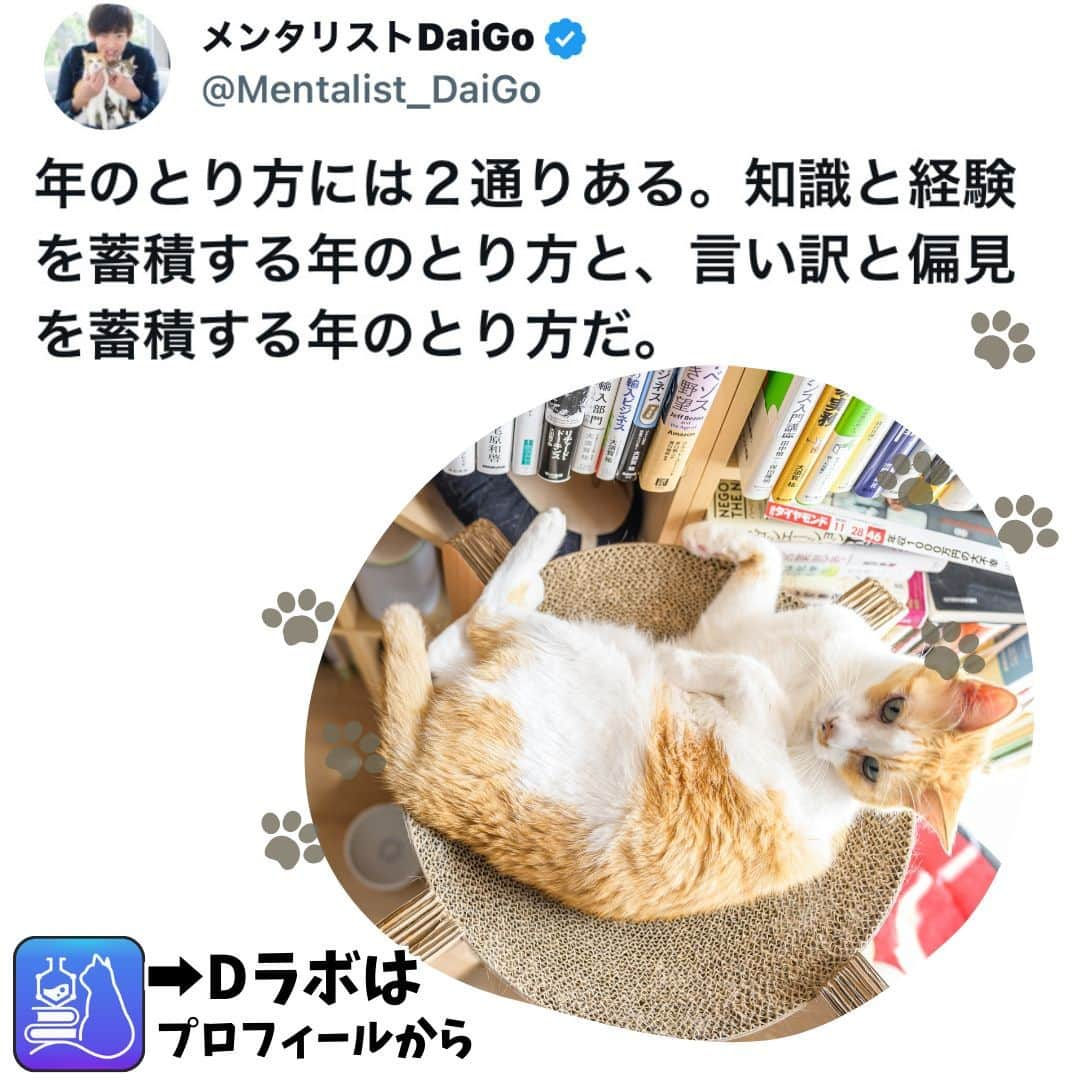 メンタリストDaiGoのインスタグラム：「🐈本日の名言📚 プロフィールからDラボもみてね  #心理学 #メンタリスト #dラボ  #dラボはプロフィールから」