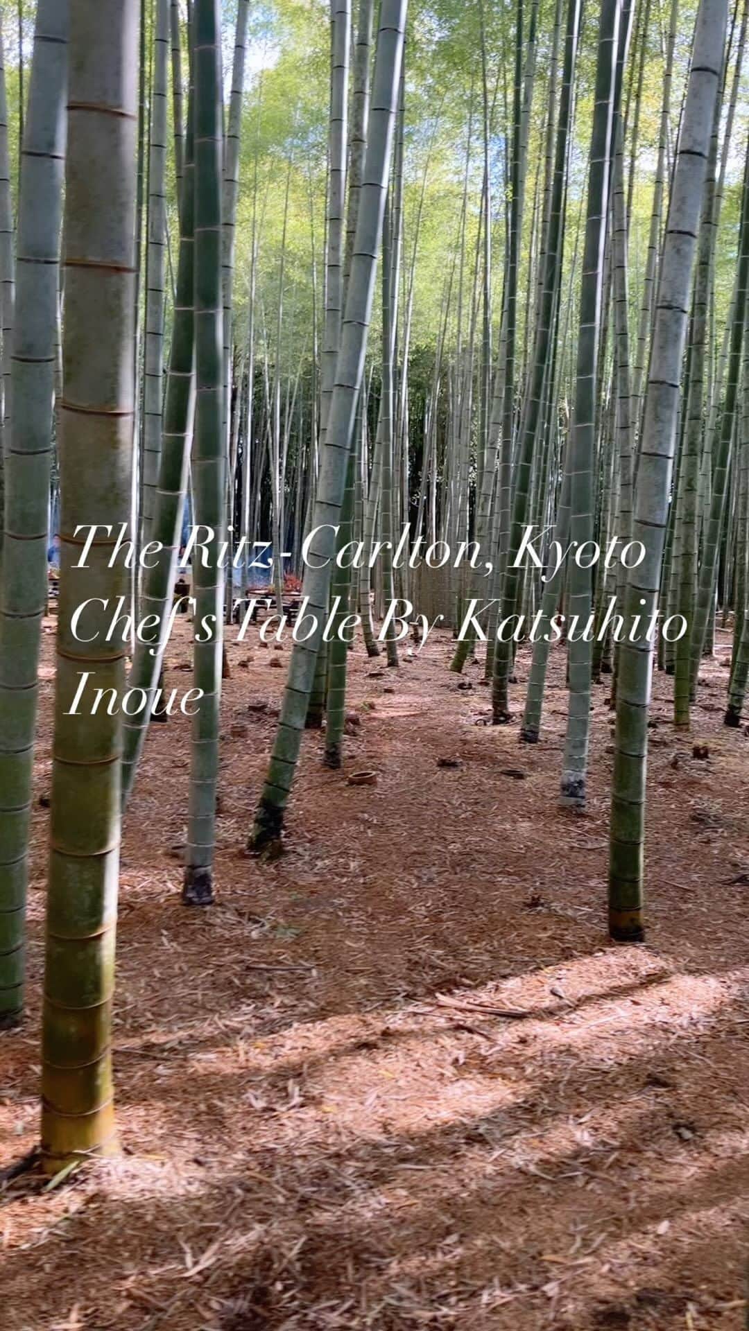INSIDE FUJINGAHOのインスタグラム：「「ザ・リッツ・カールトン京都」の一角にある「シェフズ・テーブル by Katsuhito Inoue」。シェフの井上勝人さんが、四季を細分化した暦「二十四節気七十二候」をモチーフにメニューを組み立て、食卓を通じてその時々の季節の気配を感じさせてくれます。 2023年11月には、嵯峨嵐山・大覚寺の裏手にある竹林に特別設置された会場で数日間、屋外でのプレゼンテーションを実施。プレスデーに充てられた17日に私、体験してきました。当日は二十四節気七十二候では「地始凍（ちはじめてこおる）」。冬の冷気のなかで大地が凍り始め。 朝は霜が降るような日とされています。 この日、この会場のために考えられたメニューは以下の10品余。それぞれにワイン、ノンアルをペアリングされ、井上シェフの仕上げる繊細な季節の表現に寄り添ってくれます。  ❶自然の恵み　コンソメ ❷琵琶湖子持ち鮎　ポレンタ ❸貝の直火焼き ❹焦がし野菜パウダーフォカッチャ包み焼き ❺近江牛三角バラ ❻季節の野菜の竹蒸し焼き　にんにくと鮒鮨のとも和え ❼まながつおのカルトッチョ　赤万願寺唐辛子柚子味噌 ❽鴨の赤米酒粕漬け　森の香り ❾もづく蟹と祝い米のリゾット ➓燻製チーズケーキ　山ぶどうソース ⓫焼き芋  竹林のなかの会場の設営には、筍農家が減少して荒れている京都の竹林の保全と再生に取り組む「アドプランツコーポレーション」代表、増永滋生さんが協力。竹林のなかで手に入るものでテーブルを組み立て、カトラリーを作り、火をおこす。この空間で数時間を過ごすことで、竹林に対しての危機意識を共有してもらうことも、シェフズテーブルの内容に織り込まれました。お土産に配られたのは、竹林整備をする際に発生する竹チップを土壌に生かして育てた会場となった嵯峨産の「古今嵯峨米」。晩秋のこの瞬間しか味わえない貴重な食体験、次回は未定ですが、情報が入りましたらあらためてお知らせいたします（編集G）。  ＃theritzcarltonkyoto ＃chefstablebykatsuhitoInoue ＃ザリッツカールトン京都 ＃シェフズテーブルバイ井上勝人 ＃嵯峨野 ＃京都の竹林再生 ＃古今嵯峨米 ＃京都のシェフズテーブル #婦人画報  #fujingahojp」