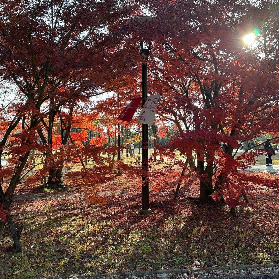 飯田和敏のインスタグラム