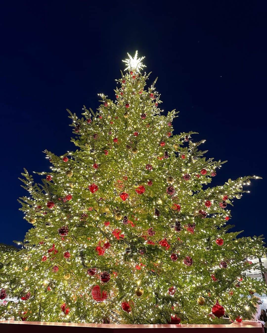 村上麻衣さんのインスタグラム写真 - (村上麻衣Instagram)「あっという間に クリスマスシーズンですね🎄✨  至るところで綺麗なツリーが輝いて 街並みも華やいで ウキウキする季節です🎅✨  きれいな写真をいっぱいあげたいな。  #クリスマス #クリスマスツリー」12月11日 9時16分 - maimaisue