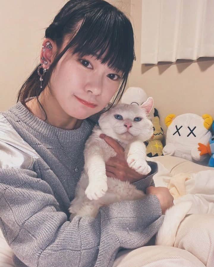 ももすももすのインスタグラム：「ニャーオ」