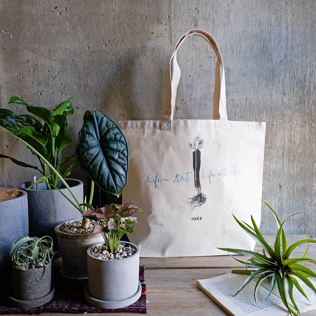 無印良品さんのインスタグラム写真 - (無印良品Instagram)「IDÉE SHOP JIYUGAOKA RENEWAL OPEN - 2023年12月8日（金）に、イデーの世界観をトータルに表現するフラッグシップショップである、『イデーショップ 自由が丘店』がリニューアルオープンしました。  オープンから15年間、変わらずイデーの旗艦店として、一人ひとりの価値観・多様性を大切にし、美意識をもってくらしを愉しむことを提案し続けてきた自由が丘店。今回のリニューアルでは、新たに4Fフロアにギャラリーを加え、1Fから4Fまで1棟すべてをイデーショップとして、現代の多様なライフスタイルに合わせた、さらに幅広いご提案ができる空間へと生まれ変わります。  リニューアルオープンを記念し、消費税込みで10,000円以上お買い上げのお客さまに、数量限定でトートバッグをプレゼント。この機会に、ぜひ自由が丘店へお越しください。 - #無印良品 #MUJI #idee #IDÉE #ideeshop #イデー #イデーショップ #リニューアルオープン #自由が丘」12月11日 10時00分 - muji_global