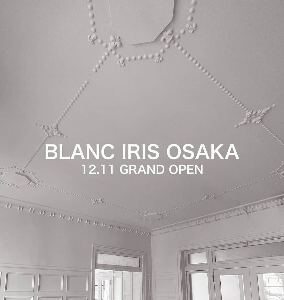 船越陽子のインスタグラム：「ㅤㅤㅤㅤㅤㅤㅤㅤㅤㅤㅤㅤㅤ BLANC IRIS OSAKA 12.11 MON OPEN  2F NORINKAIKAN  3-2-6 MINAMISENBA CHUOKU OSAKA TEL 06-6226-8355  2枚目の写真は数年前、お買い物を試着室でごろごろしながら待ってくれていた たれめちゃんと♡ 本日マルジェラ跡地にBLANC IRIS OSAKAがオープンしました。 あの頃の懐かしさとブランイリスのエッセンスが混ざり合う素敵な空間です。 大阪にお越しの際は是非、ふらっとお立ち寄りくださいね🤍  Congratulations @hiromiaraki_blanciris   #blanciris#blanciris_osaka#newopening」