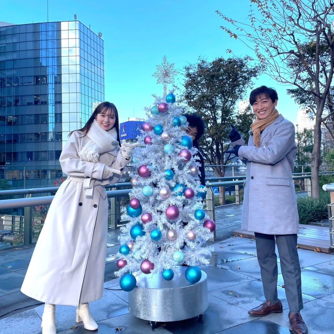 くぼてんきのインスタグラム：「くぼてんきを探せ  #レベル7 #くぼてんきを探せ #クリスマスツリーと同化 #どうかしてるぜ」