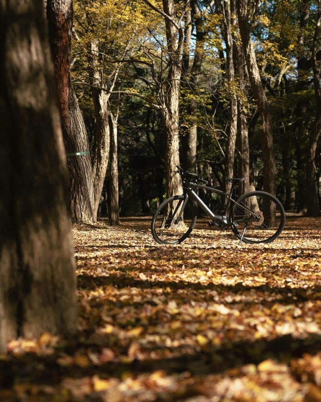 市川渚さんのインスタグラム写真 - (市川渚Instagram)「. . Cycling with #AppleWatchSeries9 ⁡ 先日参加させて頂いたApple Watchと走るサイクリングセッション。Specializedさんのe-bikeをお借りして、代々木公園を走ってきました🚲 ⁡ 普段、自転車はシェアサイクルにちょこっと乗るくらいということもあり「watchOS 10とApple Watch Series 9でサイクリング関係の機能がかなり充実したよ！」と言われてもあまりピンと来てなかったのだけど、実際サイクリングをしてみるとかなり充実した機能が提供されていることを実感。 ⁡ WatchのワークアウトAppでサイクリングをスタートするとiPhoneと連動して、iPhone側にもアクティビティの状況が表示されたり（とても見やすくて楽しい）、パワーゾーンの測定ができたり（ジムのバイクにあるようなやつ）、スピードメーターやケイデンスセンサーといったBluetooth対応の専用機器と直接繋げたりすれば、もっと多くの指標が確認できるようになるそう。一方、Watchには転倒検知の機能もあるから、万が一の時の事故のときの安心感もあって頼もしいよなーなどと。 ⁡ 代々木公園はちょうど紅葉が美しく、抜けるような青空とちらちらと空を舞う葉を眺めながら、風を感じて、サイクリングの楽しさを改めて実感する1日でもありました。 代々公は中学生の頃から行っていたというのにサイクリングコースがあるのを知らなかった自分にも驚いた😂 ⁡ そして、e-bikeは重たくて扱いづらいイメージがあったけれど、今回乗せていただいたSpecializedのTurbo Vado SLは無茶苦茶軽くて扱いやすくて、すっかり欲しくなってしまった。来年は自転車をはじめてみるのもいいかもなあ〜」12月11日 10時40分 - nagiko