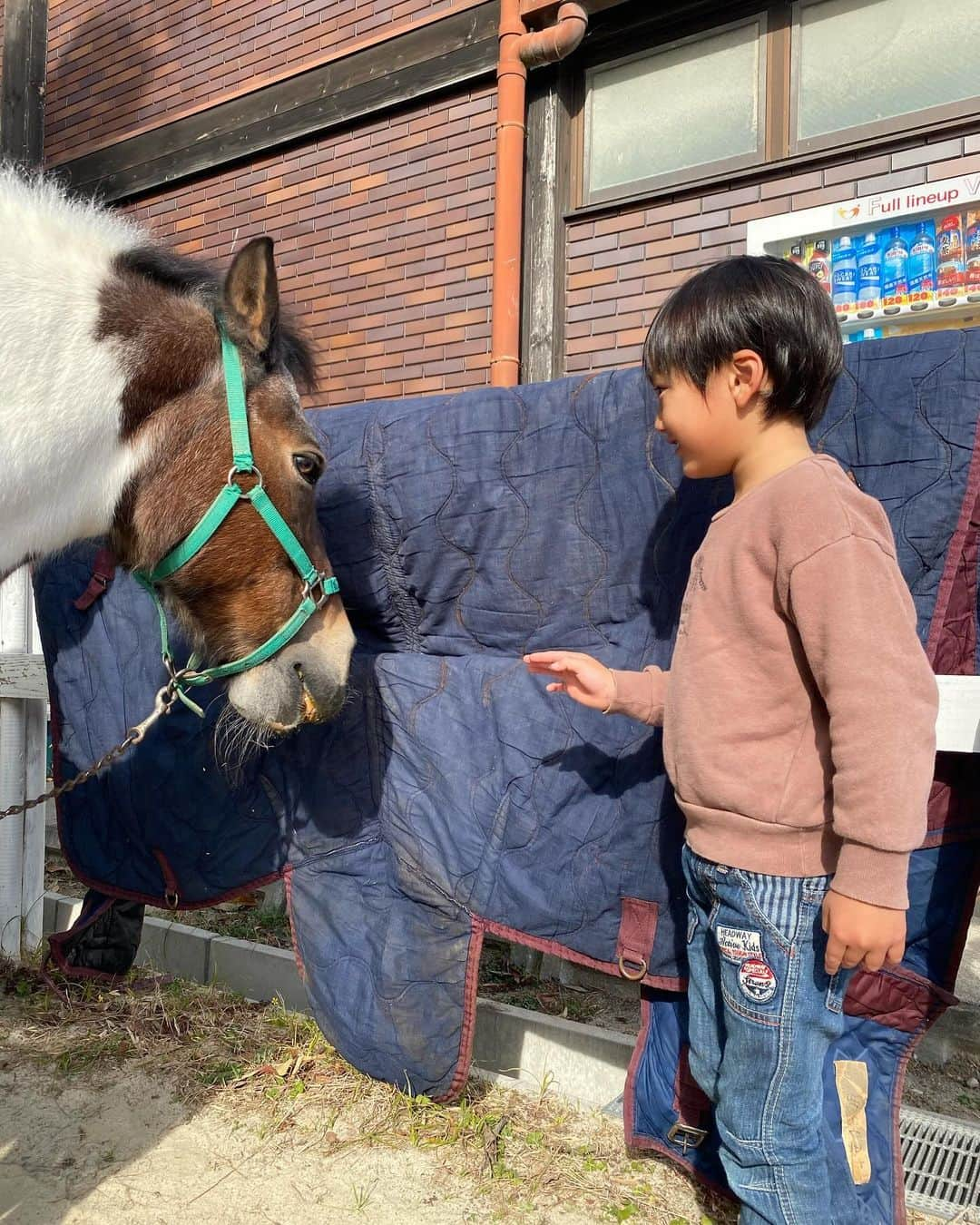 輝良まさとさんのインスタグラム写真 - (輝良まさとInstagram)「・ 土曜日、めちゃくちゃ元気に公園3ヶ所回って、夜19：30ごろ寝たのに、21時ごろ起きてきちゃって、身体を触るとめちゃくちゃ熱い💦 嫌な予感がして熱を測ってみると39.3度😨 市販の子供用の総合風邪薬があったのでそれを飲ませて様子を見るも日曜日もずっと38〜39度台😥 本人も久しぶりにしんどそうでかわいそうでした… インフルエンザかもなーと思いつつ、先ほど病院で検査してもらったら陰性😳 喉が赤いので、喉から来てる発熱ですねとのこと💦 インフルエンザじゃなかったのは良かったけど、まだ38度越えの熱があるので、しばらくは安静にして早く治るように祈るしかないですね😭  主人とバトンタッチして今日はこれから午後出勤‼️ 月曜日からドタバタですが行ってきます👍  今日で4歳半だ🥹❣️  #久しぶりの#発熱#高熱#頑張れ#早く#良くなりますように#レインボーベビー#レインボーベビー真那人#令和元年ベビー#6月生まれ#6月11日#4歳6ヶ月#幼児#やんちゃ#活発#元気いっぱい#可愛い#愛おしい」12月11日 11時12分 - kirahama0703