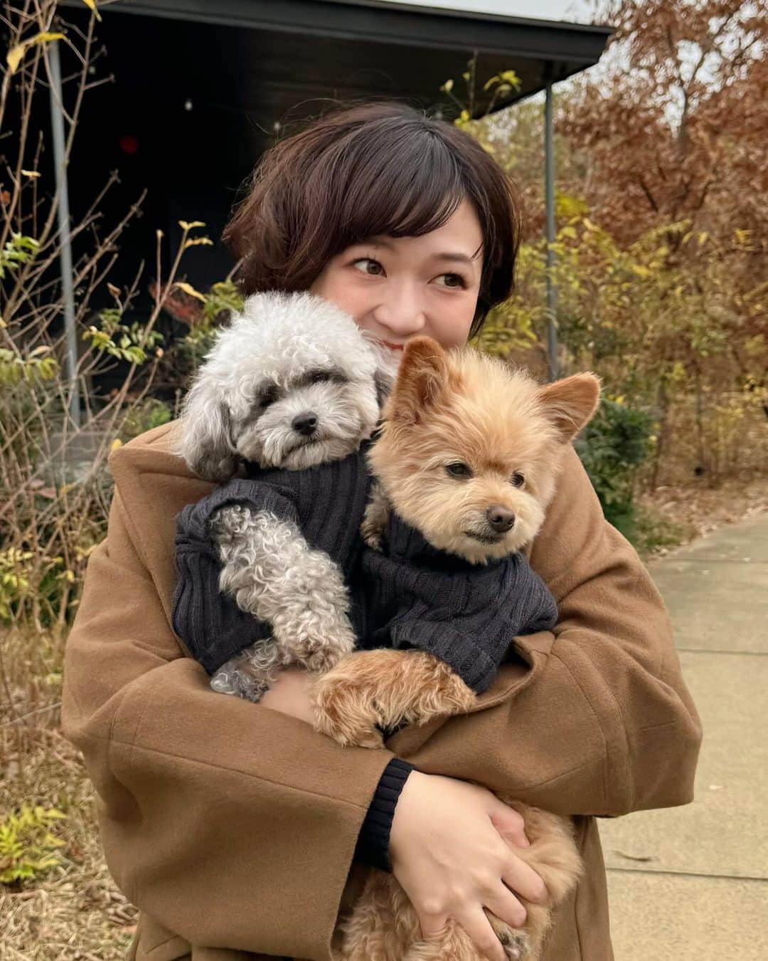 yukichi_yukiのインスタグラム：「うちの🐻‍❄️🤍🦊 最近仲良くてほほえましい🫰 一日に一度はトムとジェリーみたいなことしてるけど😂  🐶: @ropepicnic_dog #PR #ropepicnicdog   #トイプードル#ポメプー#犬のいる暮らし#イッヌ#ペアルック」