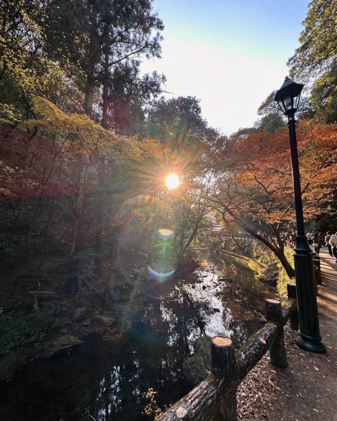 西山茉希のインスタグラム：「秋🍂 もみじ🍁 深呼吸🌬️🫧🤍」